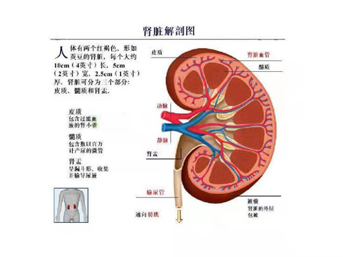 图片 11.png