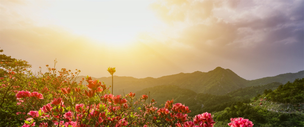 摄图网_500881179_武汉云雾山黄昏美景（企业商用）.jpg